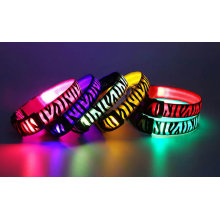 Reflective Safety Pets Products, LED Pets Collar, LED Pets Decoration, LED Pets Collar with CE En13356